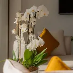 Hotel Neko Bodrum
