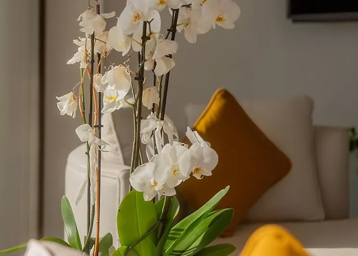 Hotel Neko Bodrum