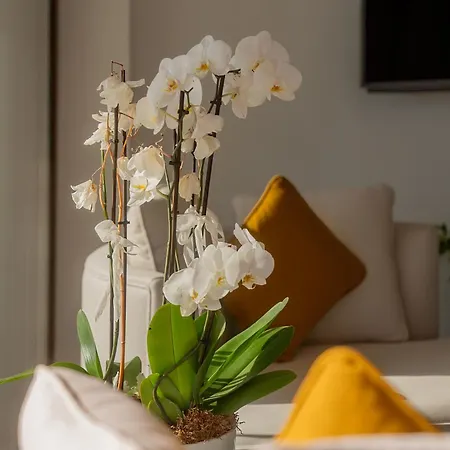 Hotel Neko Bodrum