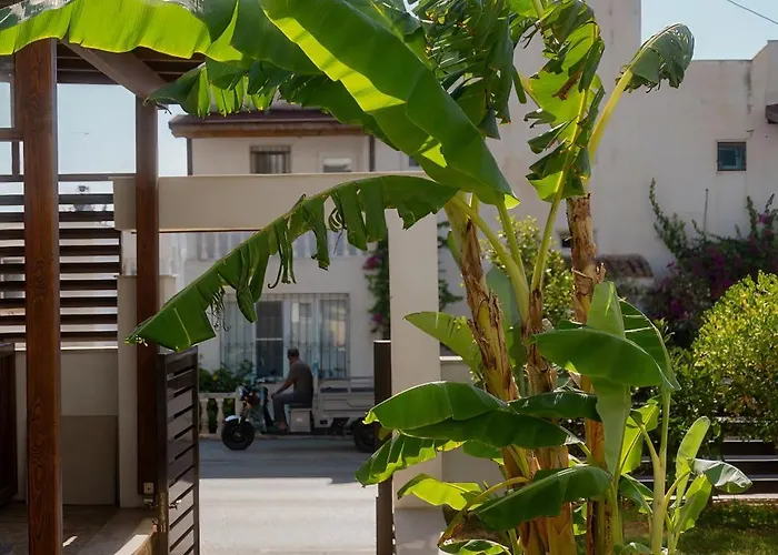 Neko * Bodrum